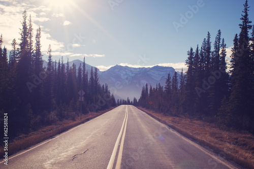 Straight narrow forest road leading to mountains  concept of - mountains are calling  traveling  freedom  adventure