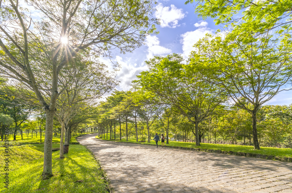 Dong Nai, Vietnam - June 25th, 2017: Happy couple walking together towards the end of  road in eco tourism with two rows of green trees adorn the romantic scenery for honeymoon in Dong Nai, Vietnam