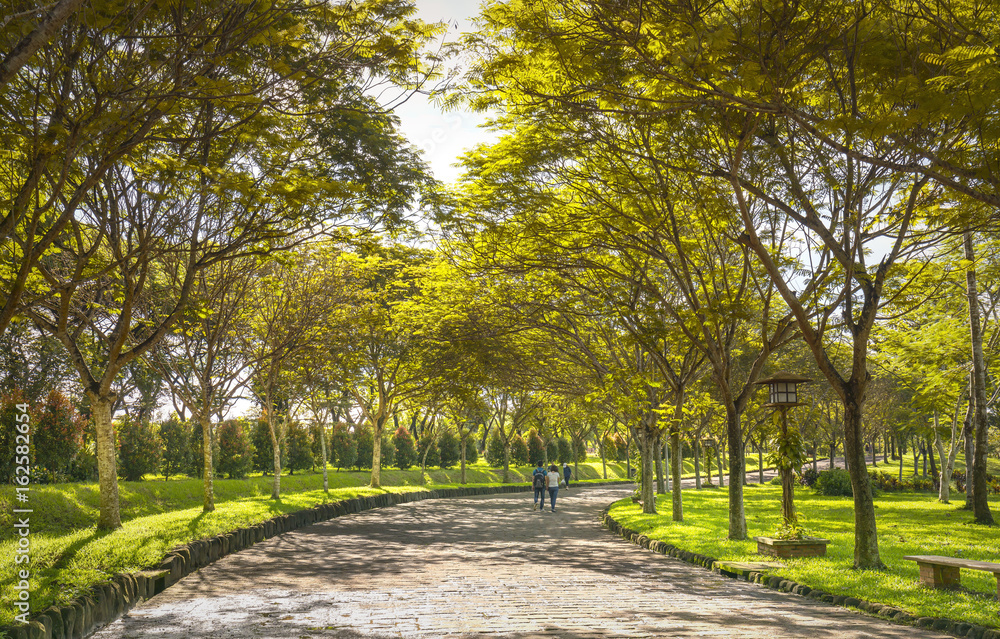 Dong Nai, Vietnam - June 25th, 2017: Happy couple walking together towards the end of  road in eco tourism with two rows of green trees adorn the romantic scenery for honeymoon in Dong Nai, Vietnam