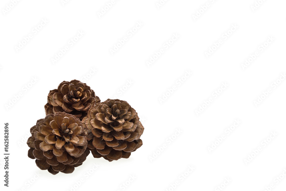 Dried pine nuts isolated on a white background Dried pine nuts isolated on a white background