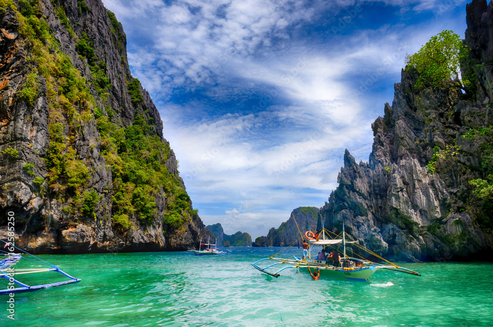 Obraz premium Tropical Tours