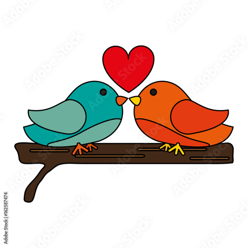 lovebirds vector illustration