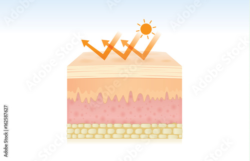 UV reflection skin after protection. Skin care concept.