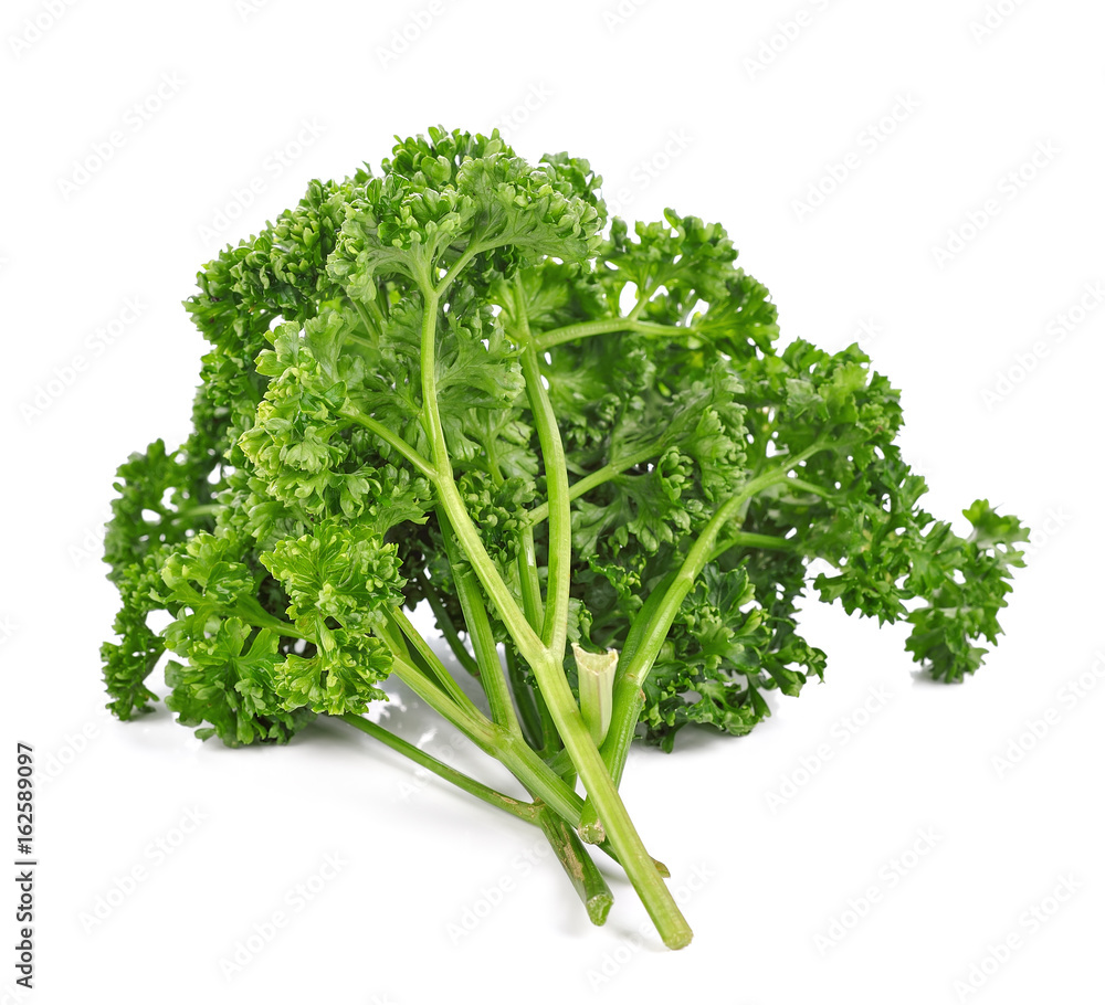 Parsley isolated on a white background Parsley isolated on a white background