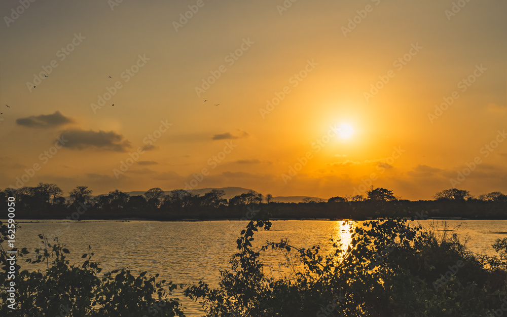 Naklejka premium Beautiful Sunset