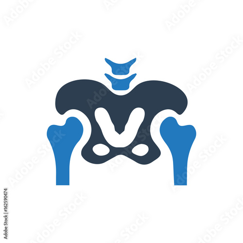 Human Pelvis Icon