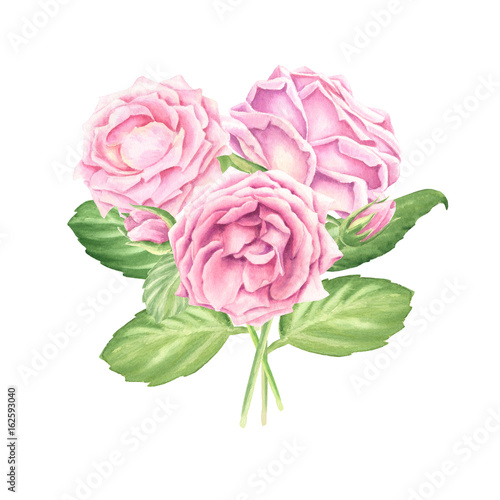 Hand-drawn watercolor pastel pink roses bouquet with green leaves, floral botanical illustration isolated on white background.