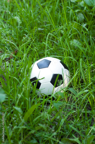 A decorative football ball isolated in grass