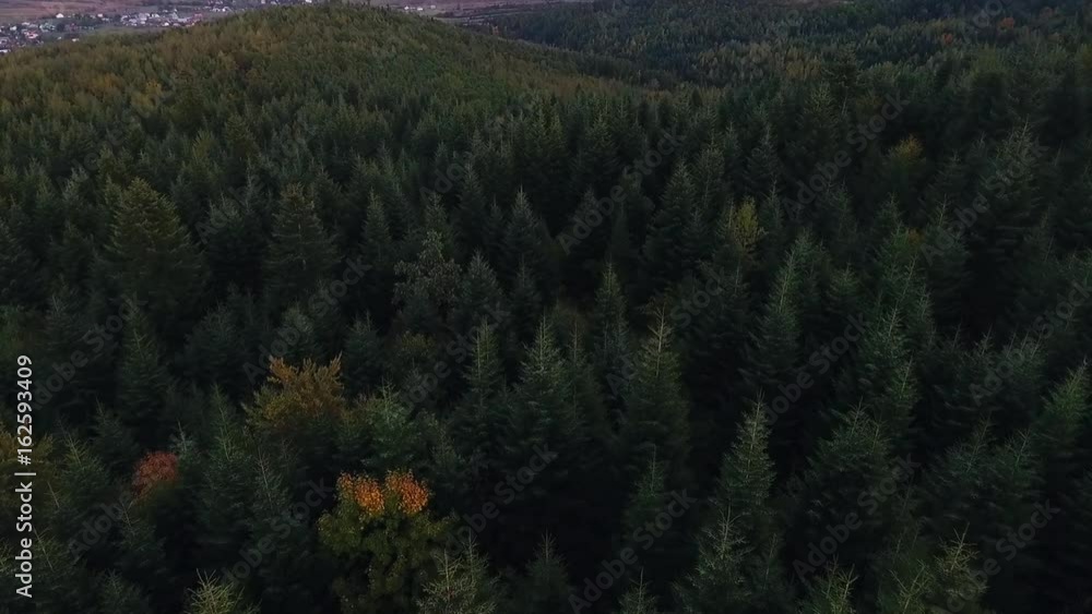 Aerial shot over a forest Aerial shot over a forest