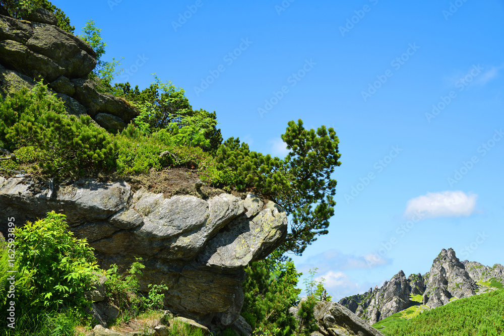 Mountain landscape in Western Carpathians. Mlynicka Valley in Vysoke Tatry (High Tatras), Slovakia