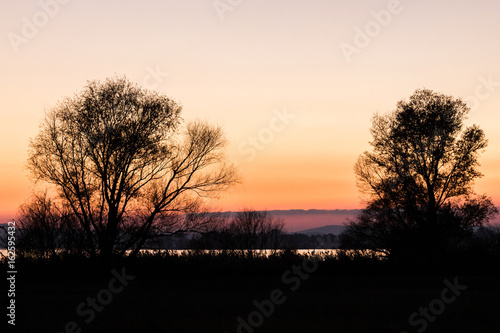 Some trees silhouette near a lake at dusk  with beautiful purple and orange colors