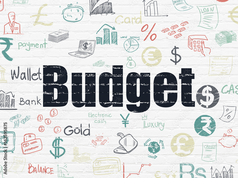 Naklejka premium Currency concept: Budget on wall background