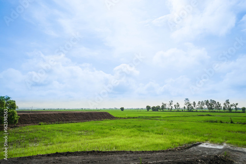 landscape of bright green farm with sunlight in blue sky © jummie