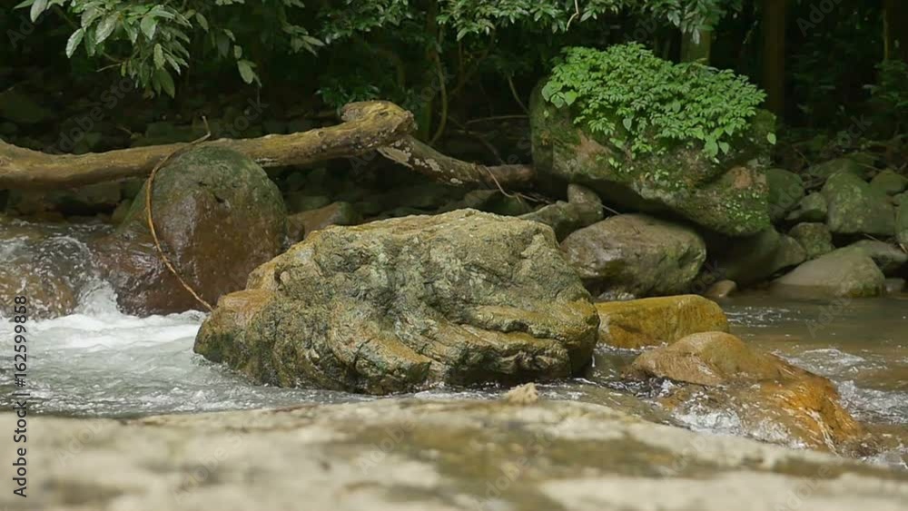 Waterfall in slow motion switching focus from front to back.