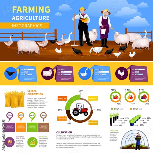 Farming Flat Infographics