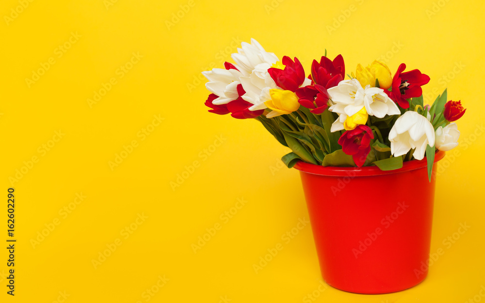 Tulips in red bucket