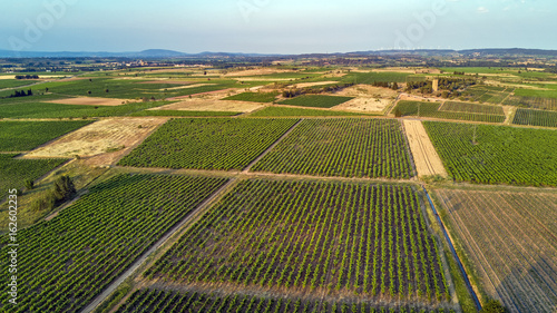 Aerial top view of vineyards landscape from above background
