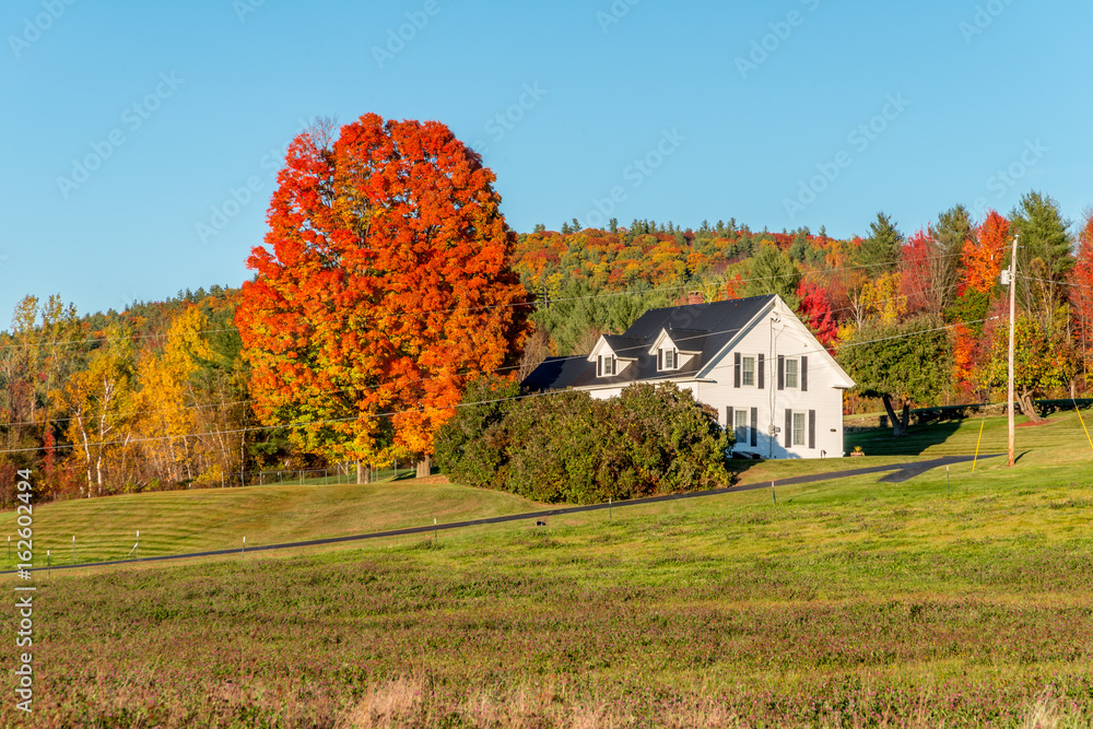 Indian Summer and Barnhouse Indian Summer and Barnhouse