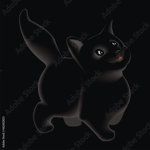 black cat