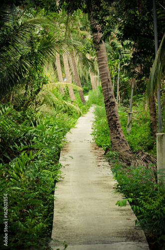 The walk in the park