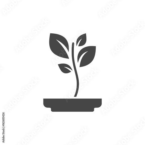 Young plant icon