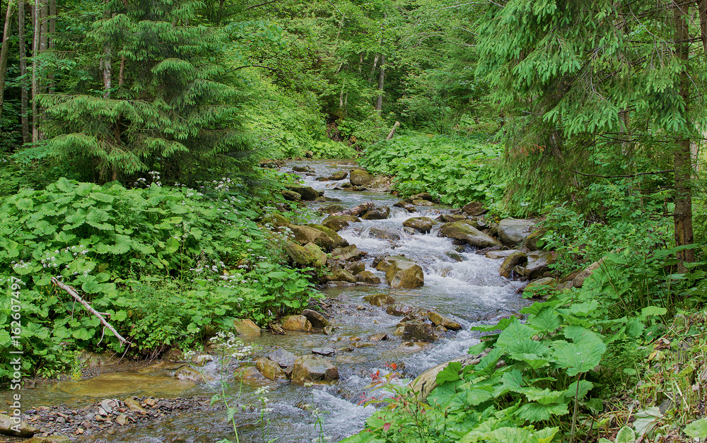 A stream in the mountains flows along the rocks and a stormy waterfall A stream in the mountains flows along the rocks and a stormy waterfall