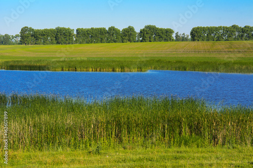 A beautiful lake for breeding fish. Magnificent view of the lake.