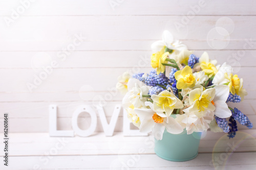 Muscaries and yellow narcissus flowers in blue bucket  and word love  on  wooden background.