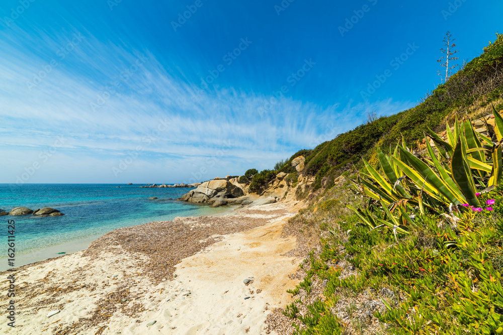 Fototapeta premium Cala Caterina shore on a sunny day