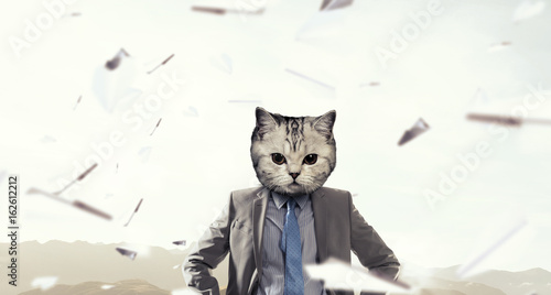 Fototapeta Naklejka Na Ścianę i Meble -  Cat in business suit. Mixed media