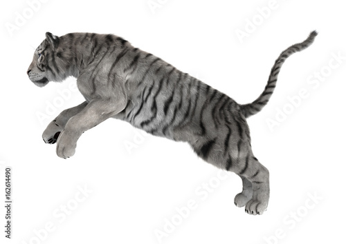 Fototapeta Naklejka Na Ścianę i Meble -  3D Rendering White Tiger on White