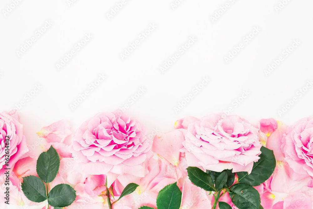 Floral frame of pink roses and petals on white background. Floral composition. Flat lay, top view