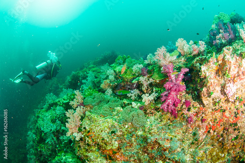 Wonderful and beautiful underwater world with corals, fish and sunlight