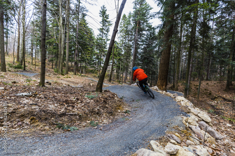 Fototapeta premium Mountain biker riding on bike in early spring mountains forest landscape. Man cycling MTB enduro flow trail track. Outdoor sport activity.