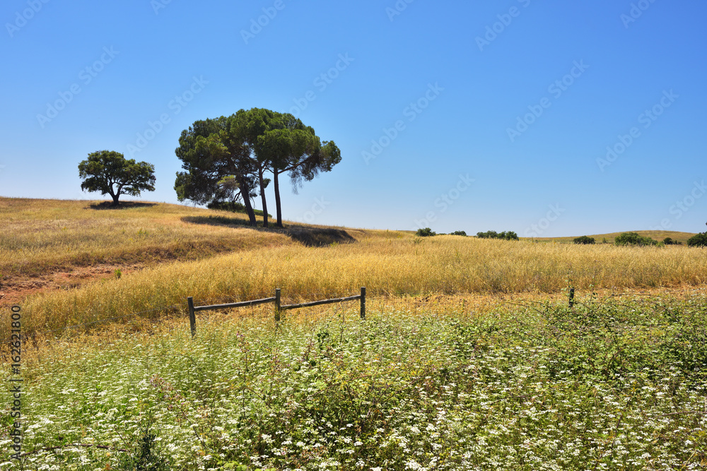 Rural lanscape, Portugal