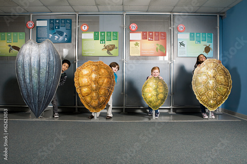 Four friends standing behind sea turtle shells photo