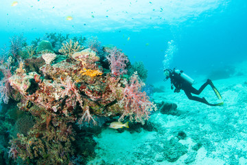 Foto auf Acrylglas Tauchen KHAO LAK, THAILAND - MARCH 1: Coral, fish and scuba driver underwater in Similan Islands, Thailand on March 1, 2009. Similan Islands are Thailand's premier dive destination.  © papi8888