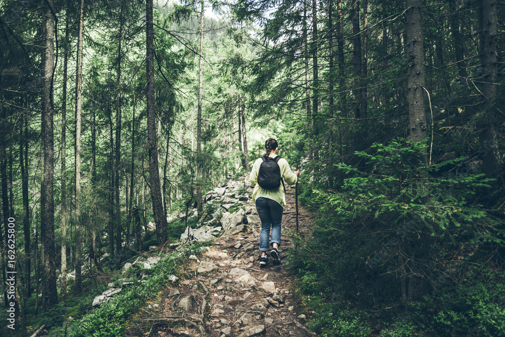 Young lady hiker with backpack walking in carpathian