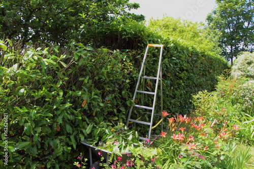 Matériel pour couper une haie