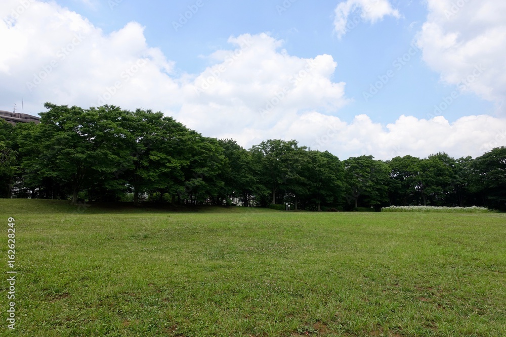初夏の散歩 初夏の散歩
