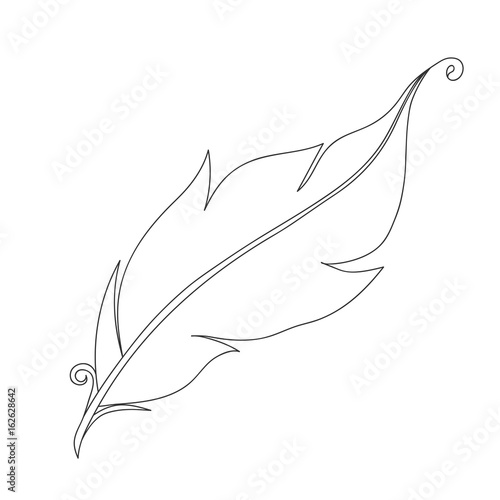 Isolated black outline monochrome feather of bird on white background. Curve lines. Page of coloring book.