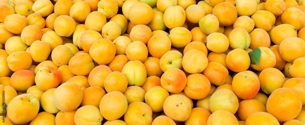 Apricots, background