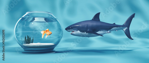 Canvas Print Golden Fish in a bowl