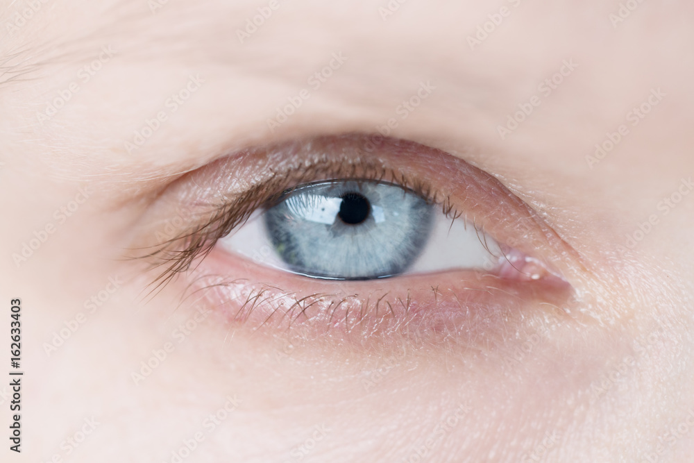 Obraz premium Blue human eye. Beauty macro closeup woman's eye blinking