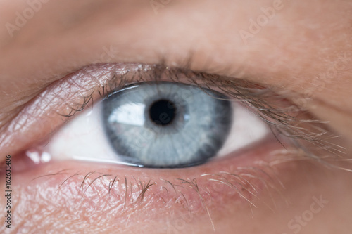 Blue human eye. Beauty macro closeup woman's eye blinking