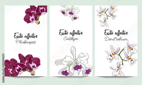 Vertical vector banners of orchids exotic collection. An idea for design, invitation.