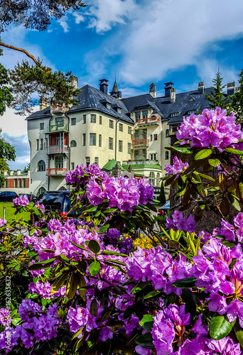 Beautiful building in Imatra, surrounded by rhododendron. Finland 