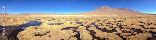 Swamp with dry grass hubbles. Mountains of Altiplano, Bolivia, South America