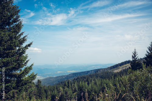 Beautiful view with pines on green mountain and magnificent cloudy sky. Vitosha mountain, Sofia, Bulgaria.