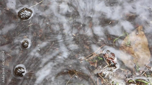 hard rain with raindrops and leaf